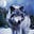 GW Wolf's avatar