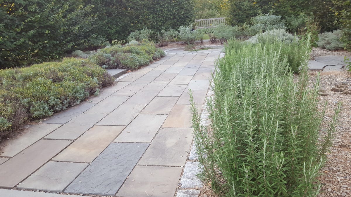 Gravel is used as a mulch in the beds of this xeriscape