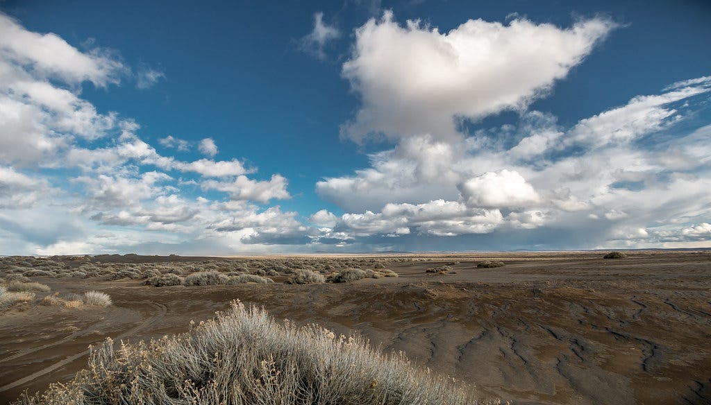 Fossil Lake Fossil Lake