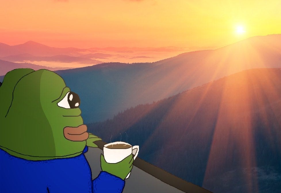 cagy.ron | youtube/cagyjan on X: "Took out my initial $pepe investment. The  rest we ride into the sunset! Let's flip all these mf memecoins.  https://t.co/Lqfv0GwSsf" / X