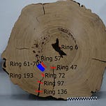 Anthropology.net
