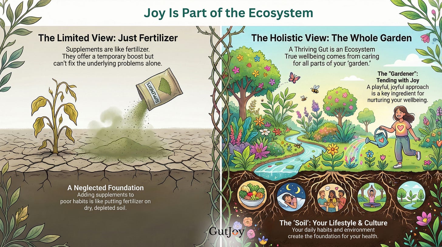 A dying garden vs a joyful thriving one, showing that joy is part of wellbeing.