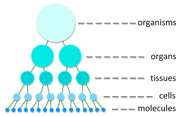 Holarchy-Glossary | Metadesigners Network 2022