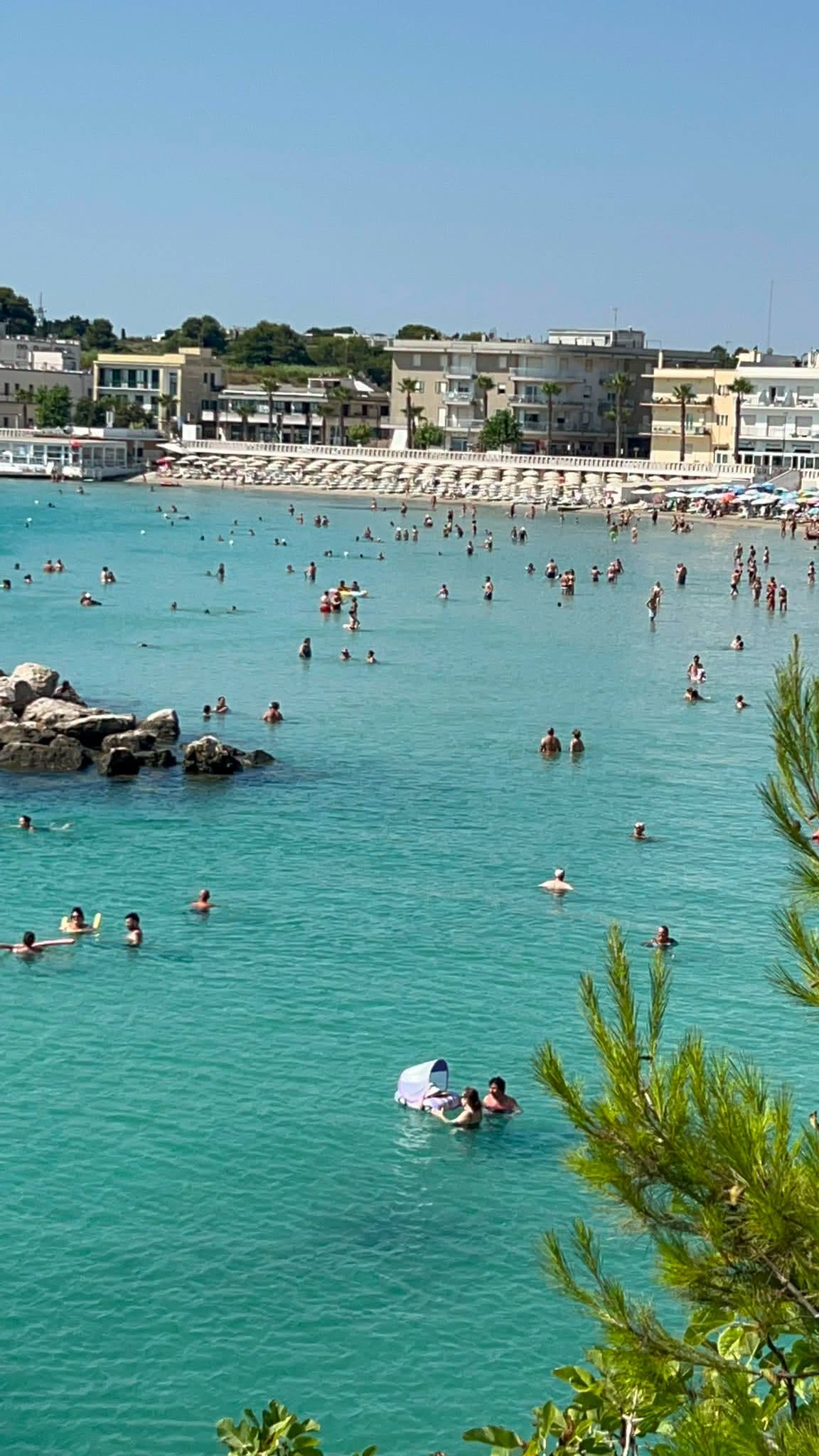 May be an image of swimming and Camogli