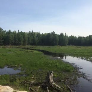 Magical Realism Short Stories