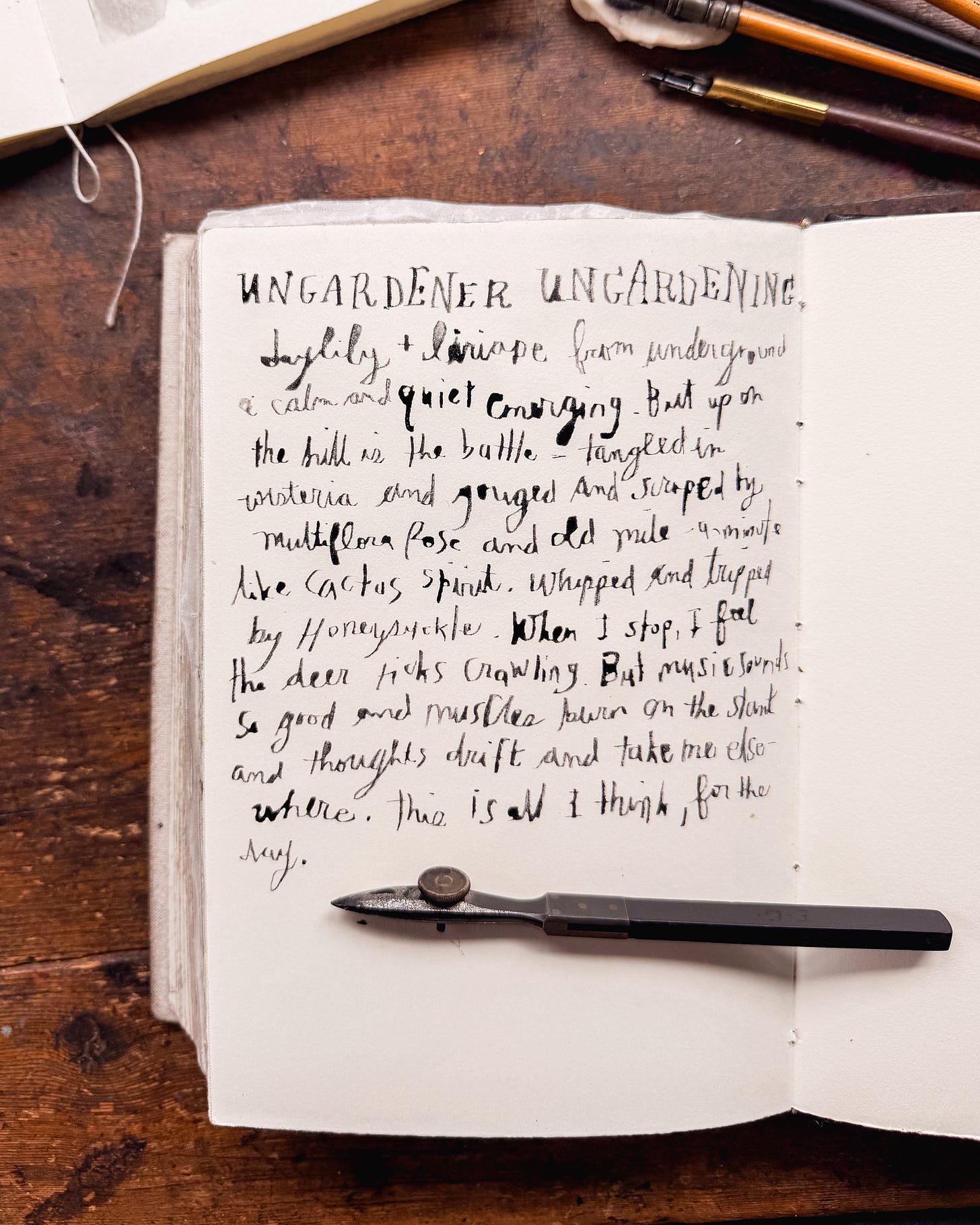 handwriting with an antique ruling pen in journal