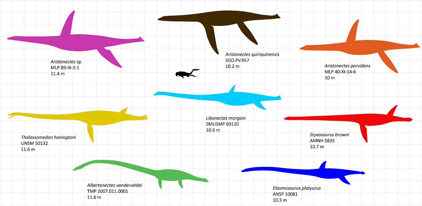 Largest Plesiosaurs by somedeviantartist on DeviantArt