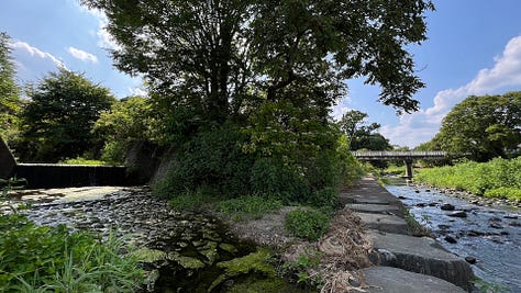 This month's house, the Tokigawa River, and Teenage Brewing