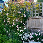 Early summer is a pause and a portal of possibility.