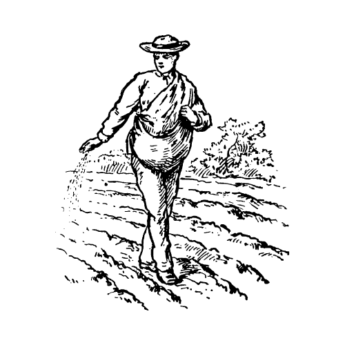 The Steward's Journal