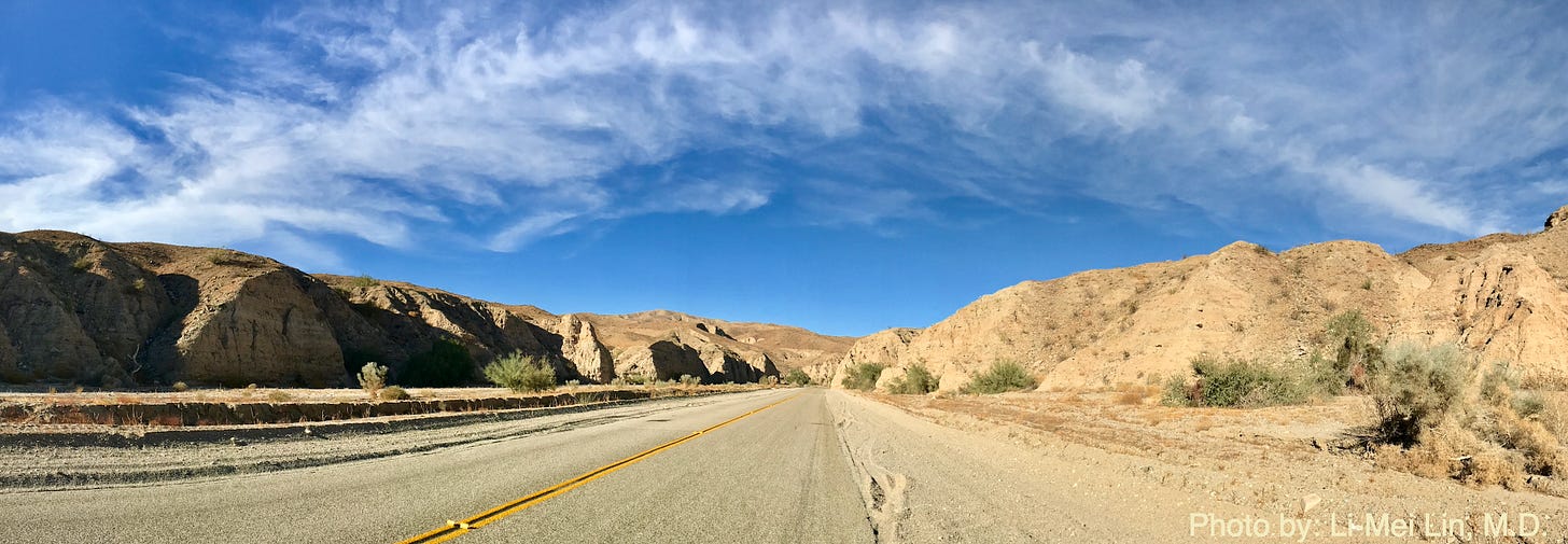 Palm Desert California by Li-Mei Lin, M.D.