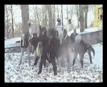 Candlemass Bewitched GIF - Candlemass Bewitched Metal - Discover & Share  GIFs