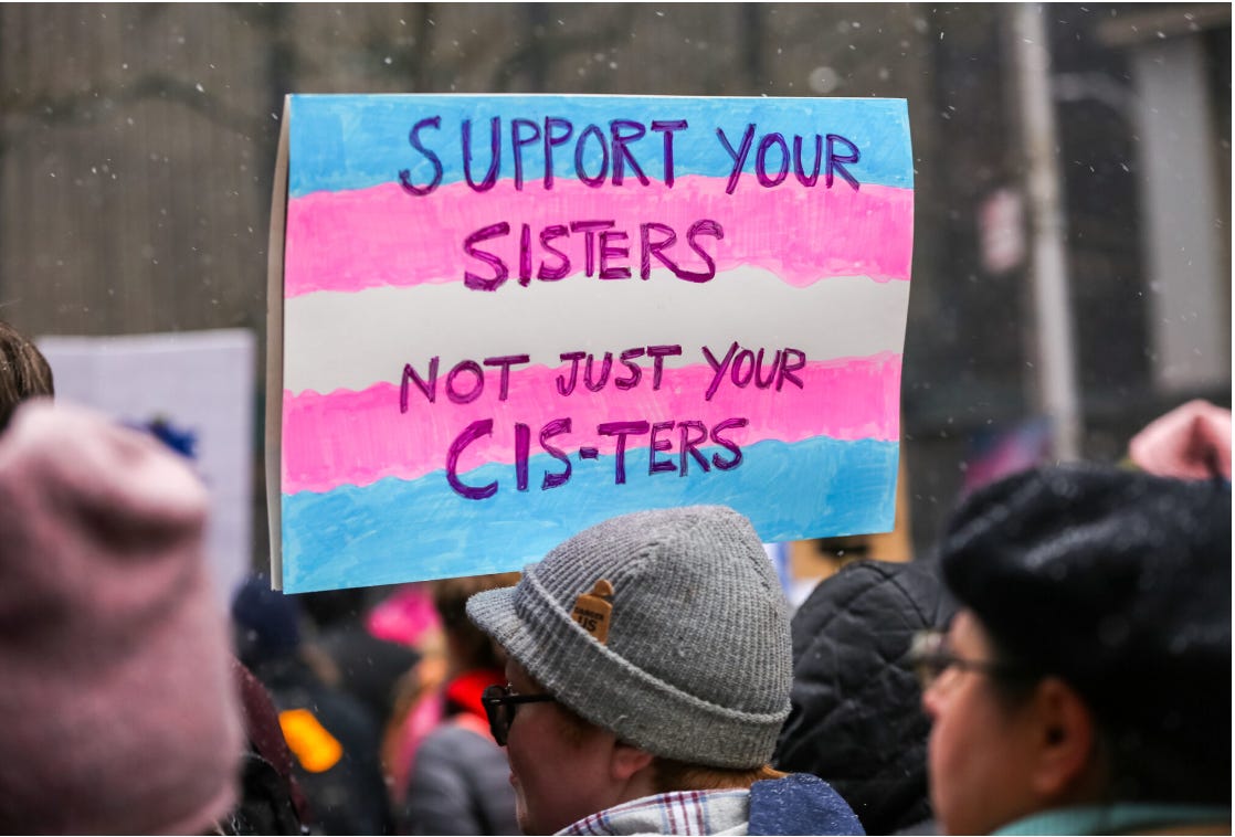 A photograph of a protest crowd. At the centre, a handmade sign painted in the blue, pink and white colours of the transgender flag reads, “SUPPORT YOUR SISTERS NOT JUST YOUR CIS-TERS.” People in winter clothing are gathered closely around the sign.