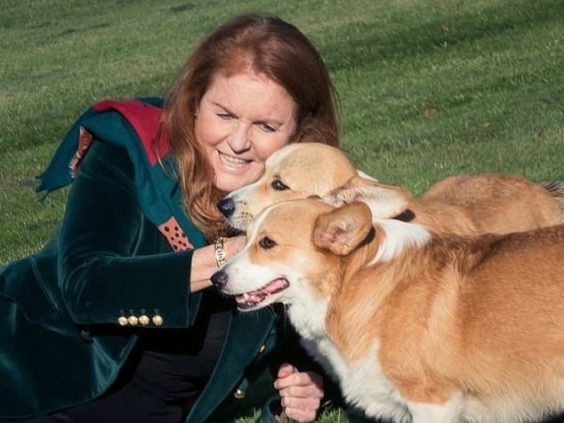 Sarah Ferguson adopted the late Queen's corgis, Muick and Sandy, with ex-husband Prince Andrew in 2022, housing them at the Royal Lodge in Windsor