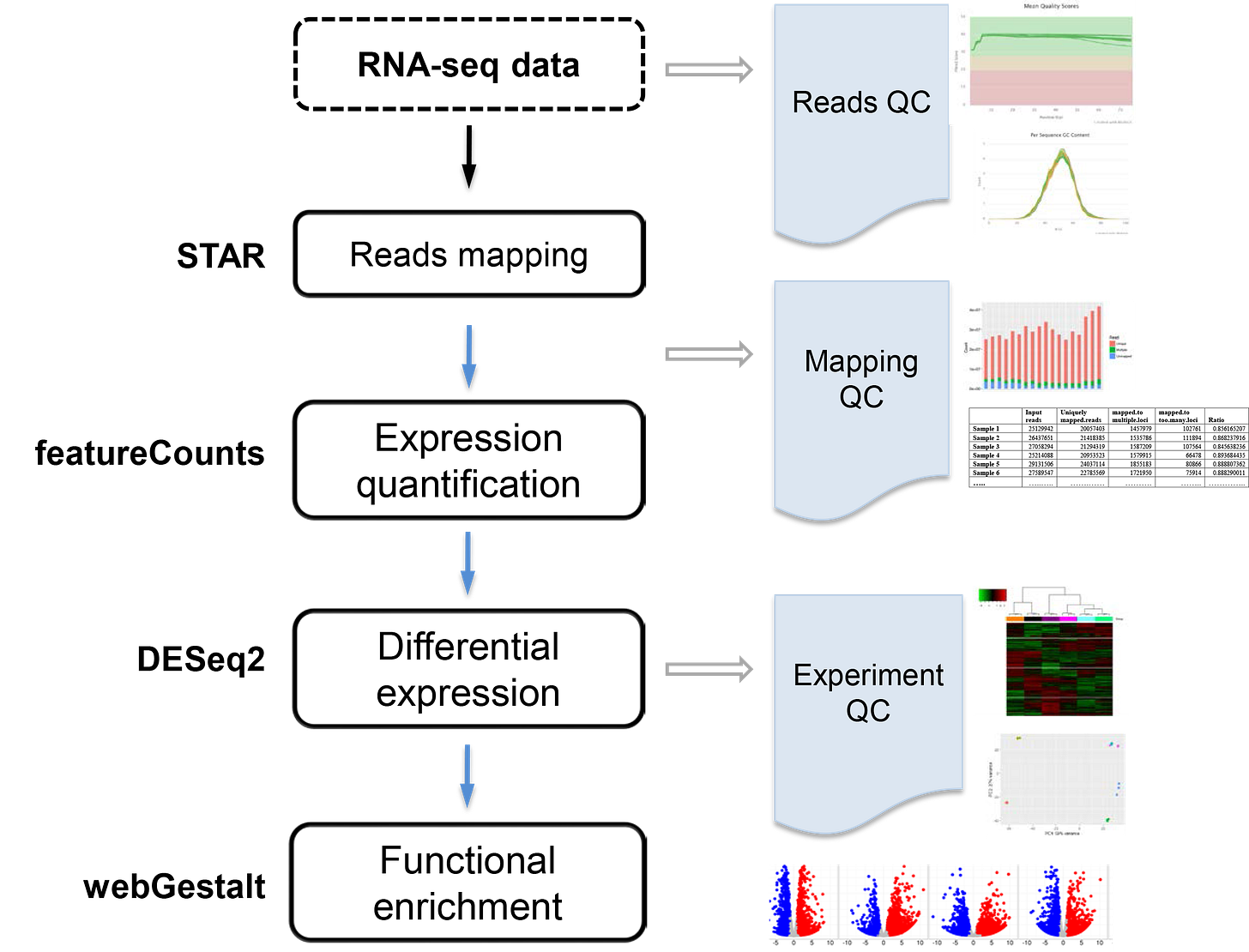 RNA-seq pipeline