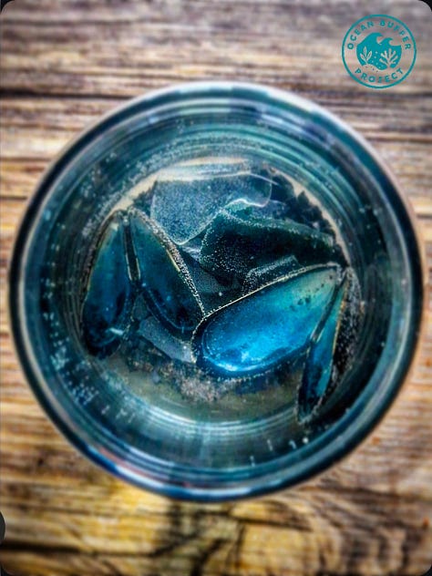 A recycled candle jar using marine algae and recycled materials to grow your own ocean