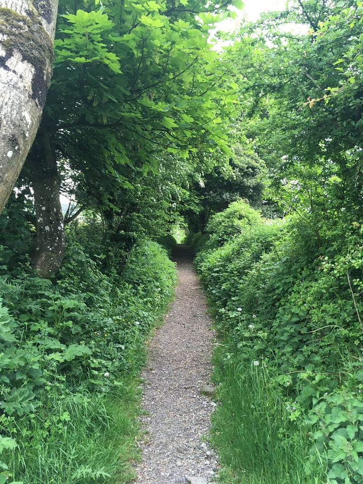 The path up Croghan Hill