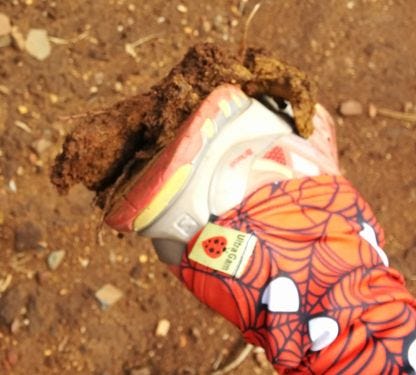 aIMG_20160327_104911