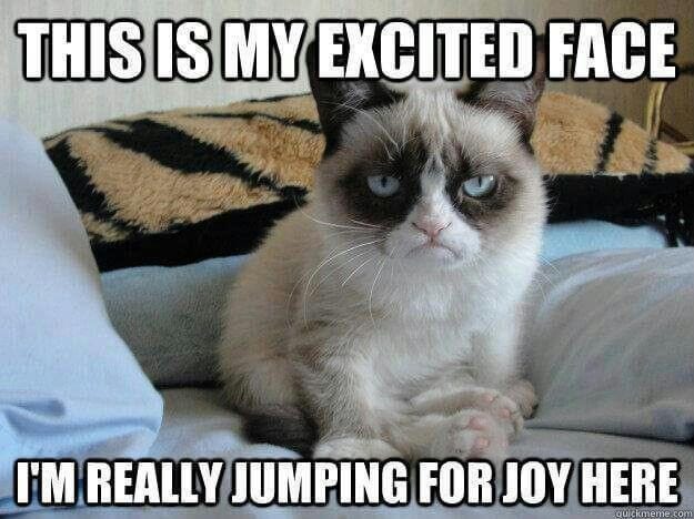 25 Bored Memes That Are So Boring They Actually Stop Time | Animaux de  compagnie, Chats grincheux drôles, Memes d'animaux drôles
