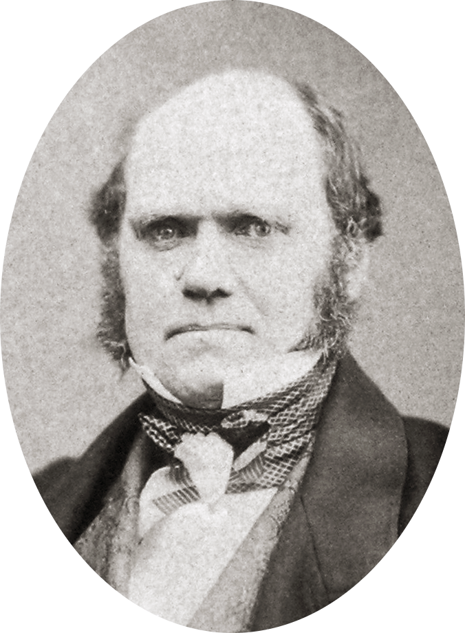 Studio photo showing Darwin's characteristic large forehead and bushy eyebrows with deep set eyes, pug nose and mouth set in a determined look. He is bald on top, with dark hair and long side whiskers but no beard or moustache. Studio photo showing Darwin's characteristic large forehead and bushy eyebrows with deep set eyes, pug nose and mouth set in a determined look. He is bald on top, with dark hair and long side whiskers but no beard or moustache.