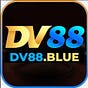 DV88's avatar