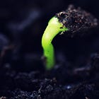 We Seed Futures Through Our Bodies