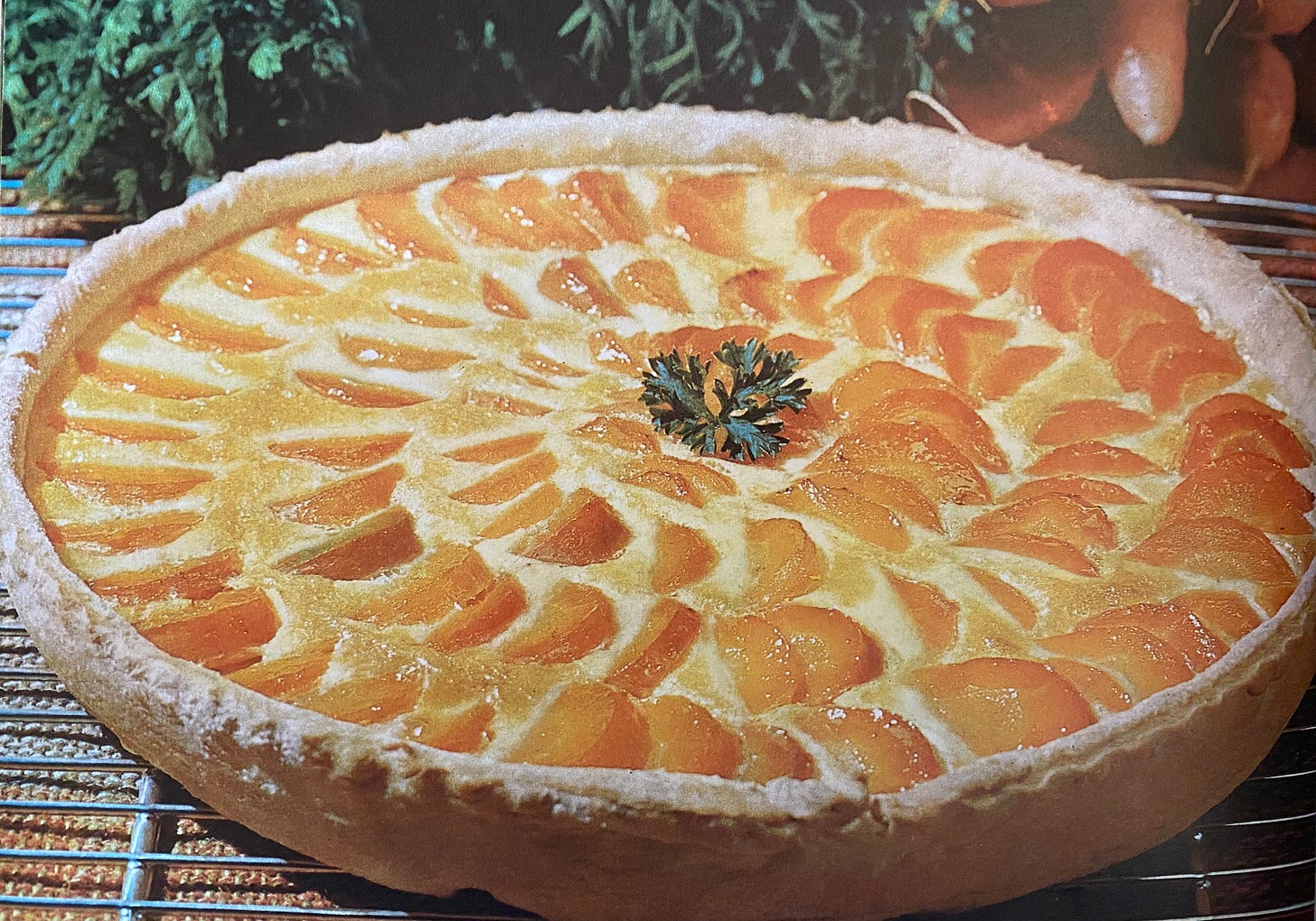 Carrot flan with parsley garnish