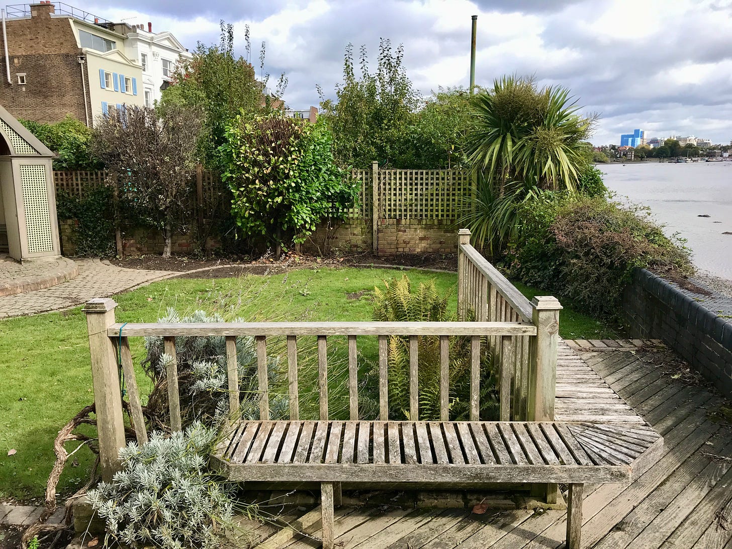 The before  image of a small garden design