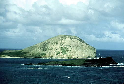 Przesłany obraz Przesłany obraz