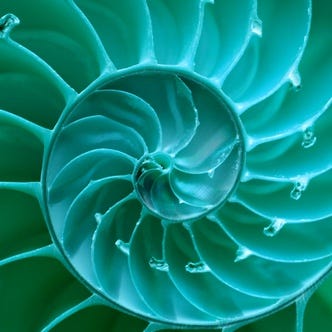 Kay Taylor's Soul Path Notes