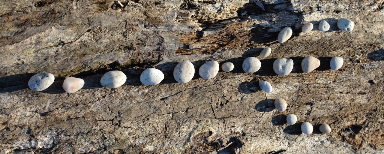 small stones wedged into a crevace in a straigt line on an old weathered log. eventually the line of stones splits into 3 lines of stone, like a Y but with a third line. 