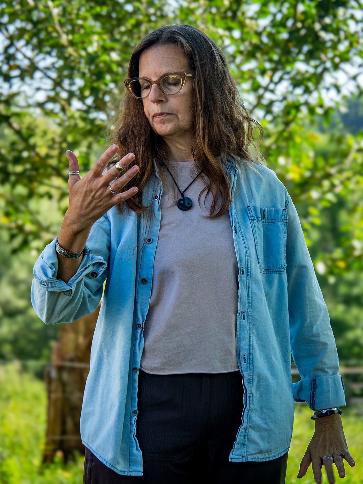 jo bregnard tai chi