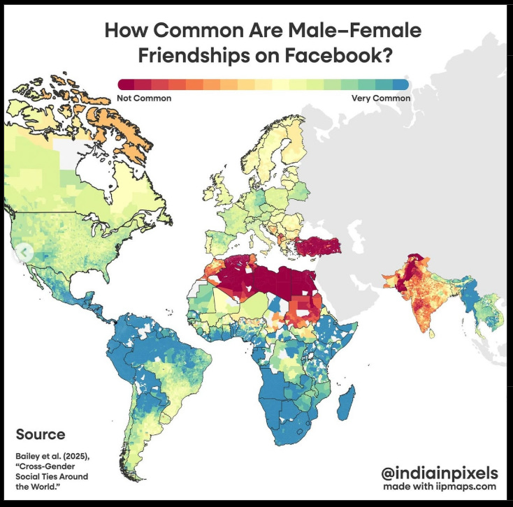Nell'immagine si vede la mappa del mondo col titolo "Quanto sono comuni le amicizie tra uomo e donna su Facebook?"