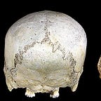 Anthropology.net