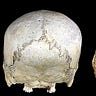 Anthropology.net