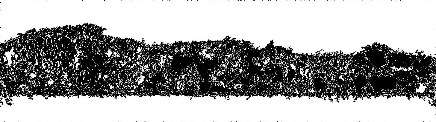 Black and white image - white covers the area around the electrode. Building on figure 2a, the areas outside the electrode are now solid with the speckle removed.