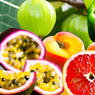 Tannic Panic! Issue #3: What's Gooseberries?