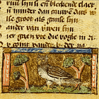 In the Margins: Annotations as Gateways to Group Learning