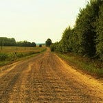 Professor Taylor's Two Ditches Substack