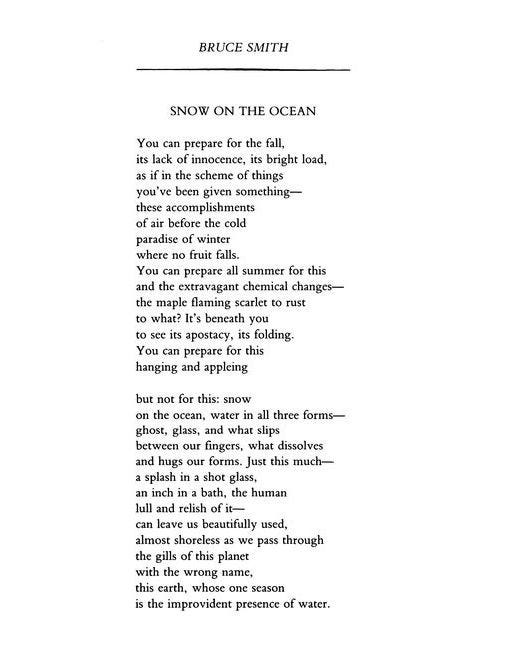 Poems for Your Midweek - Maya C. Popa