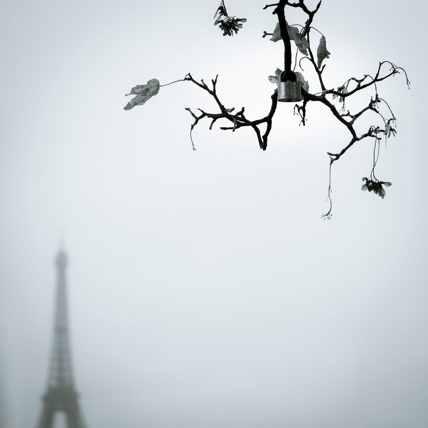 a selection of images made with a standard lens including landscape, details, architectural
