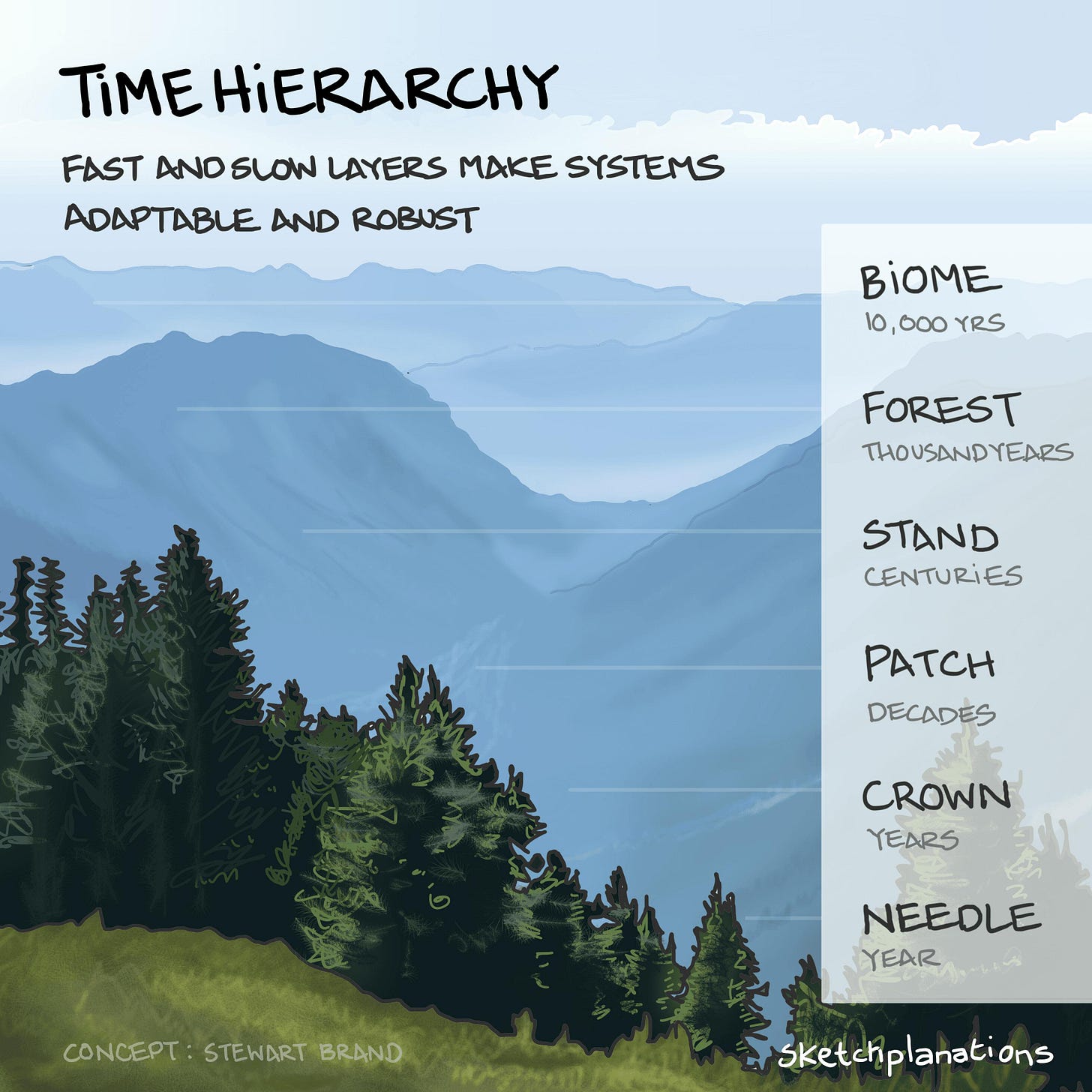 What is a time Hierarchy example explained: a lush, verdant, coniferous alpine forest is depicted as a means of explaining the range of layers within any durable system that develop at different speeds. From the individual needles on the trees that develop over a year, to the surrounding biome, 10,000 years in the making. 