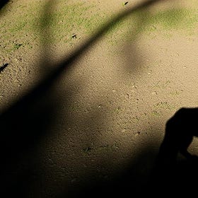 The Beasts Over the Hill