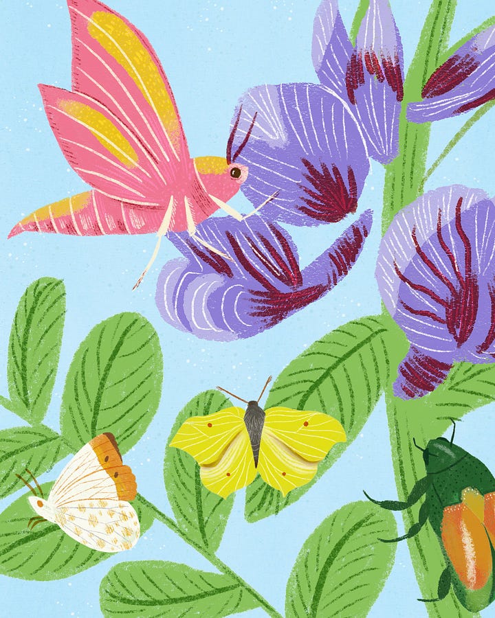 Bindy James Illustrator