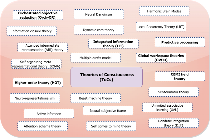 High order theory (HOT) Global workspace theories (GWTs) Integrated information theory (IIT) Orchestrated objective reduction (Orch-OR) High order theory (HOT) Global workspace theories (GWTs) Integrated information theory (IIT) Orchestrated objective reduction (Orch-OR)