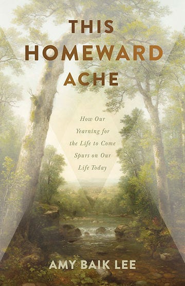book cover this homeward ache by amy baik lee