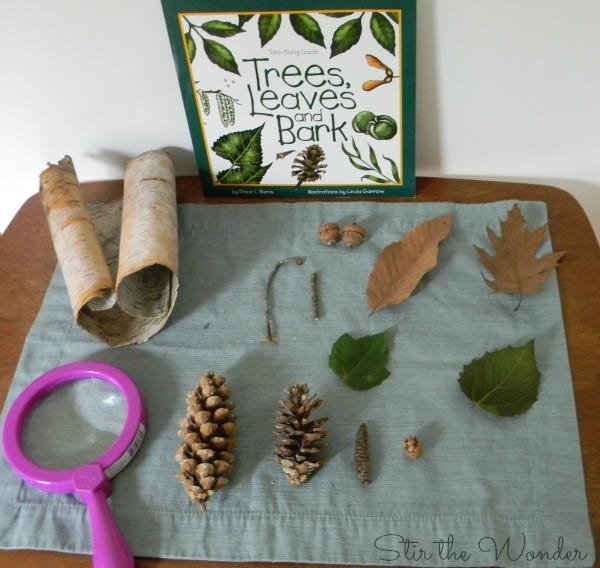 Used with permission: https://www.stirthewonder.com/nature-table-ideas-with-books/
