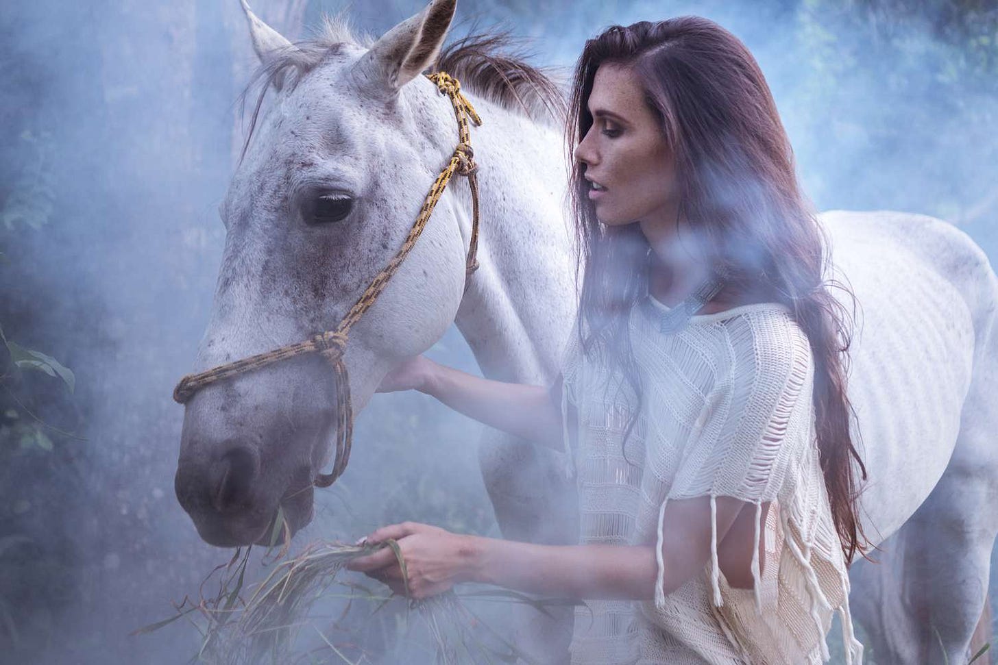 Rhiannon, the Welsh Horse Goddess