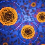 Research Matters | Beat