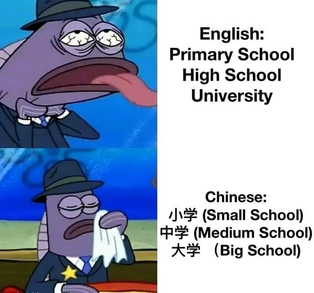 r/memes - Why can't all languages use this logic?